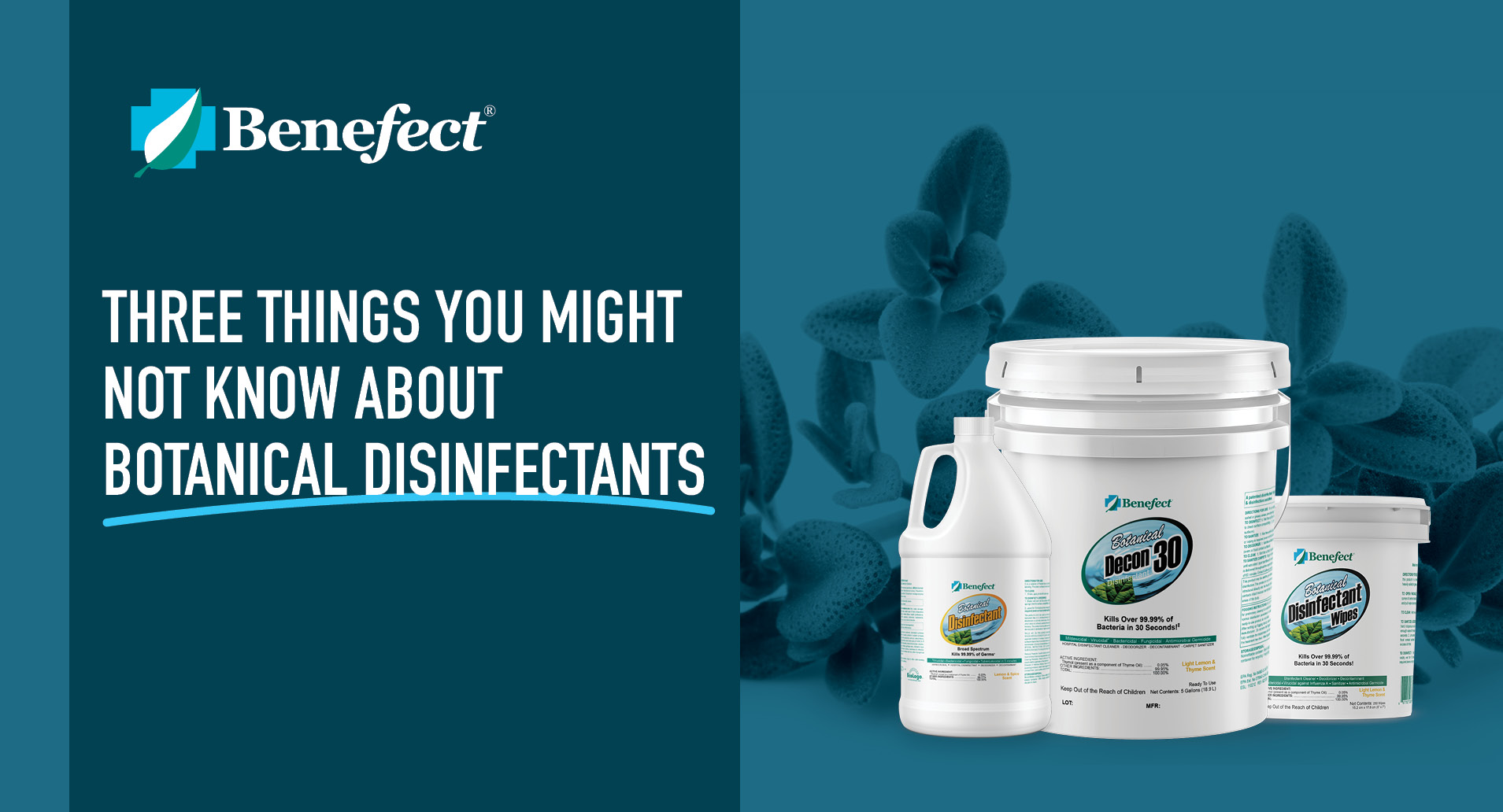 Three things you might not know about botanical disinfectants