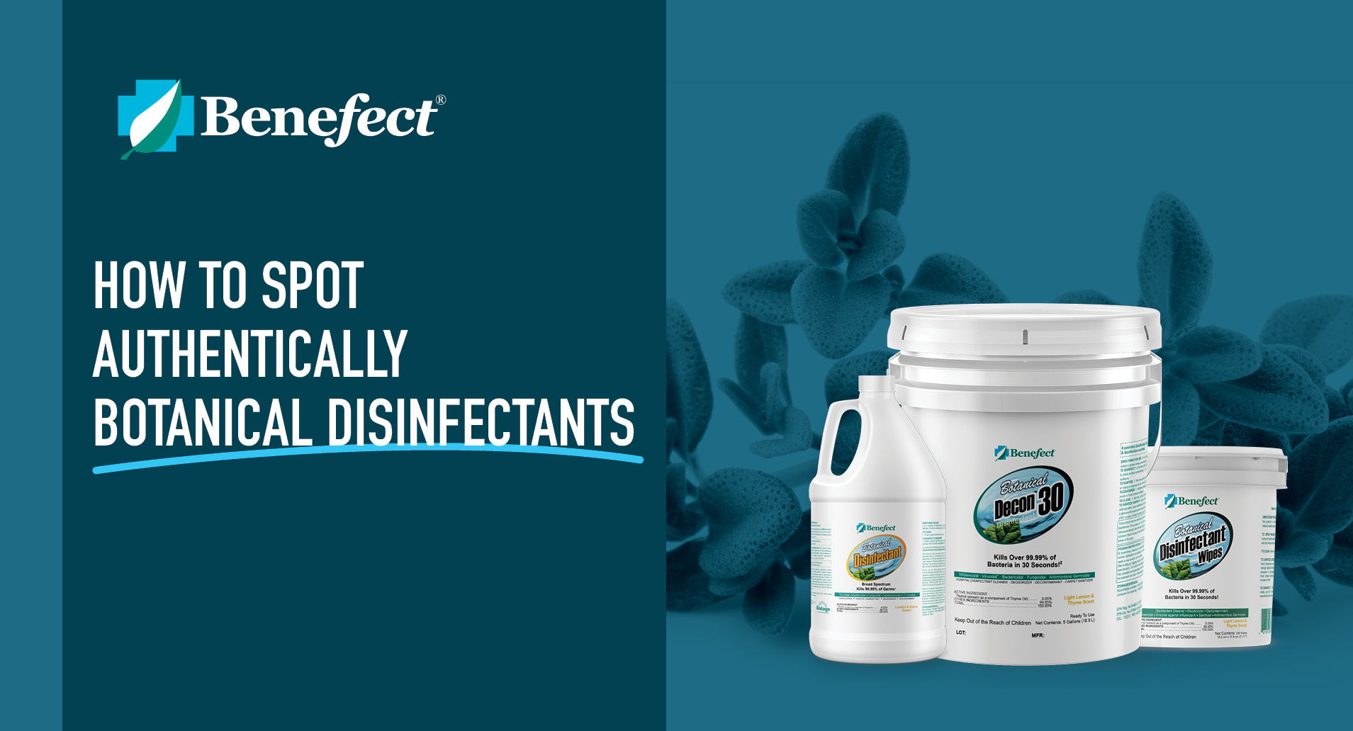 How to spot authentically botanical disinfectants